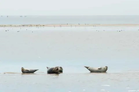Landgoed Hotel Tatenhove Texel foto 44