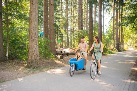 Camping Rcn De Roggeberg foto 5