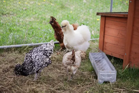 Camping Le Florenville foto 21