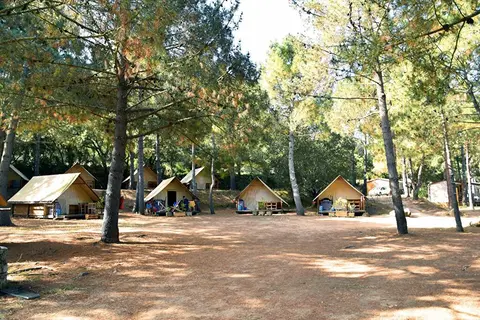 Olva in Sartène — foto 18