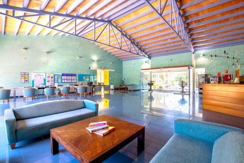 Vibra Caleta Playa foto 11