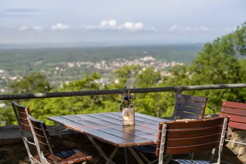 Steigenberger Icon Grandhotel & Spa Petersberg in Königswinter — foto 23