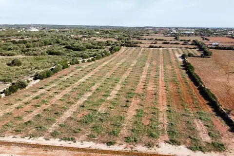 Agroturismo Son Juaneda in Ciutadella, foto 18
