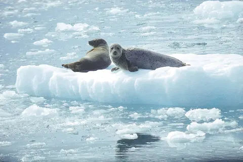 Rocky Mountain Rail Tour and the Inside Passage foto 21