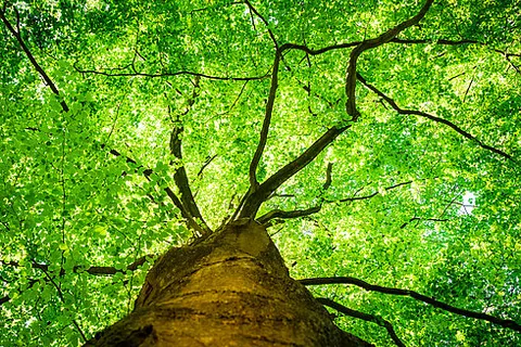 Prima Camping Resort Ostsee-boddenblick foto 8