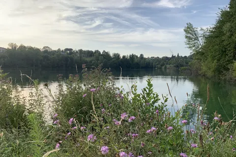 Vakantiepark Hameaux Des Lacs foto 11