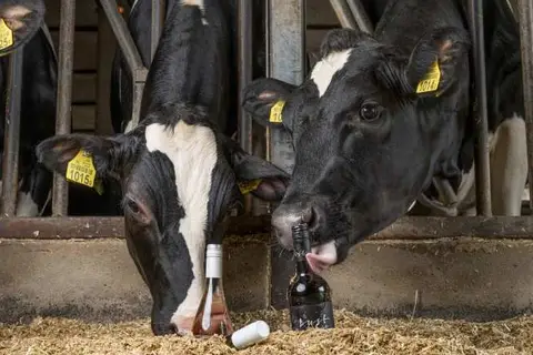 Herberg de Brabantse Kluis in Beek en Donk — foto 28