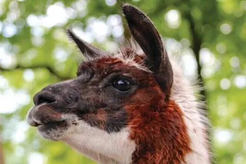 Residence de Eese foto 13