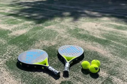 Villapark de Weerribben foto 12