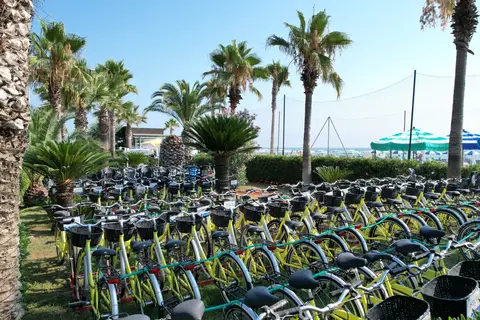 Camping Don Antonio in Giulianova — foto 13