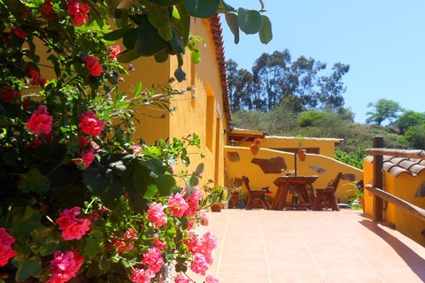 Finca Natura Canaria foto 4