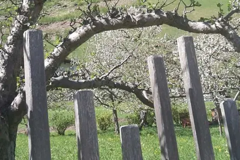 Hotel Garni Hubertus foto 24