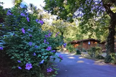 Seven Hills Village in Rome, foto 13