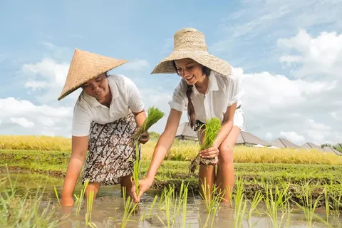 Bali en Gili op het gemak foto 10