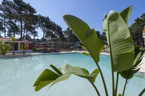 Ohai Nazaré Outdoor Resort in Nazaré — foto 36