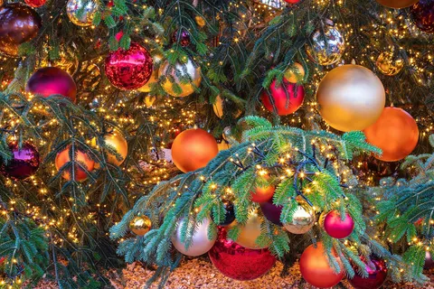 Kerstmarktcruise Keulen en Bonn met mps Rembrandt van Rijn foto 9