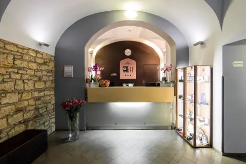Hotel Páv in Praag