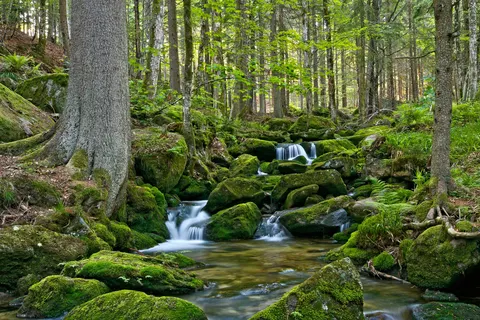 Knaus Campingpark Lackenhäuser foto 20