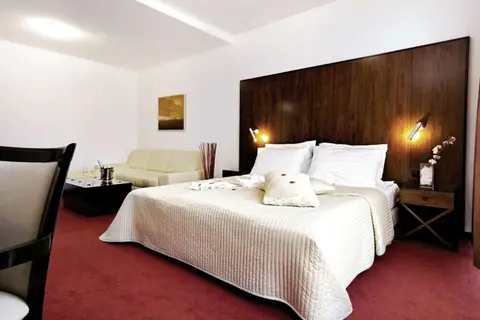 Hotel Terme Vivat in Moravske Toplice — foto 27