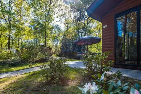 Vakantiepark De Wiltzangh in Ruinen — foto 5