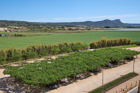 Hotel URH Molí del Mig foto 31