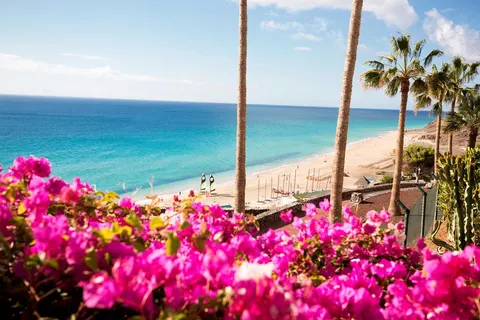 ROBINSON Esquinzo Playa foto 3