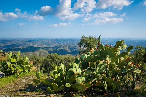 Ontdek de Algarve vanuit Monchique in Monchique