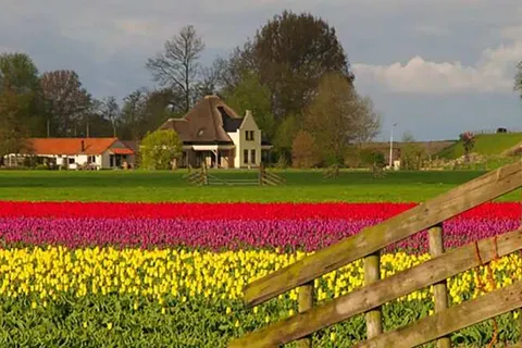 Hotelhuisjes Oosterleek foto 9