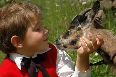 Hotel Kaunertalerhof foto 12