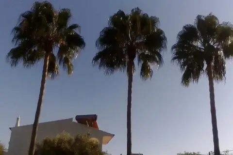 Flor da Laranja in Albufeira — foto 15