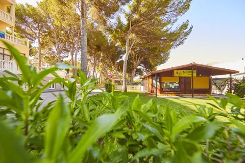 Palma Bay Club Resort foto 23