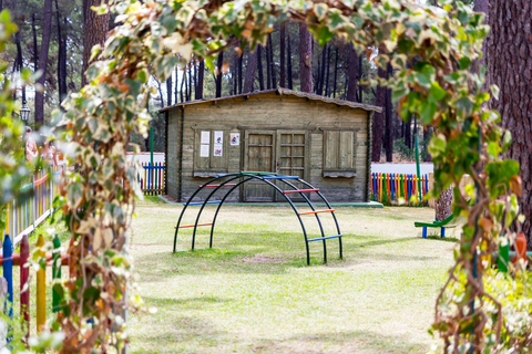 AluaSun Marbella Park foto 16