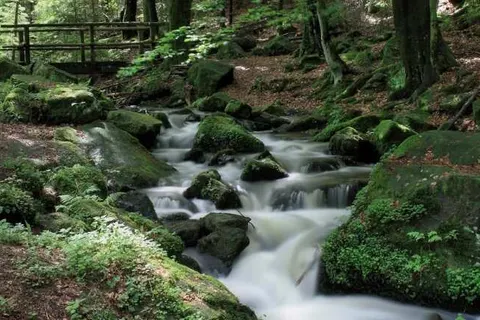 Hotel Bismarckhöhe foto 29