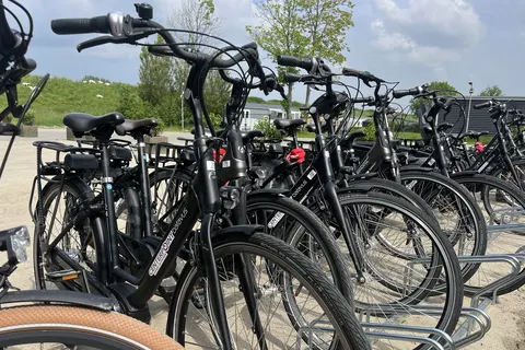 Camping De Zeeuwse Parel foto 28