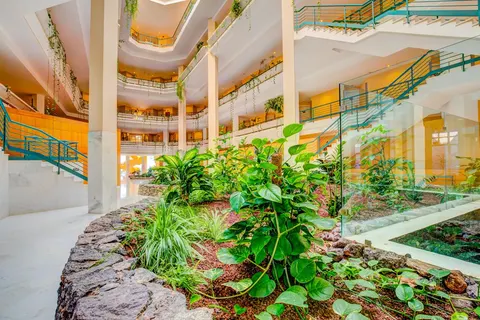 Hotel SBH Costa Calma Beach Resort in Pájara — foto 37