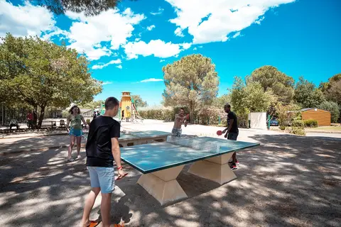 Les Albères in Laroque-des-Albères — foto 7