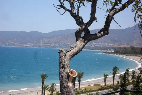 Marion in Πόλις Χρυσοχούς — foto 14