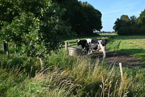 Camping Hunze Bulten foto 6