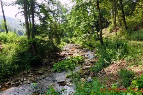 Elpe Apartments in Olsberg — foto 11
