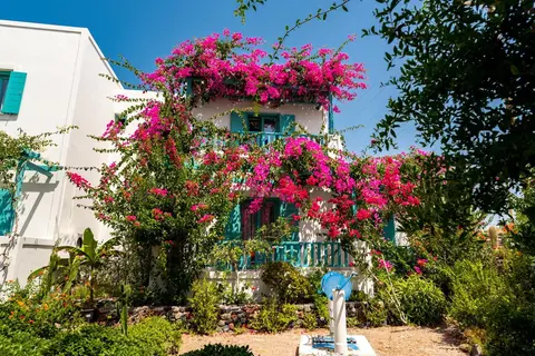 Hotel Andreas in Δημοτική Ενότητα Θήρας — foto 14