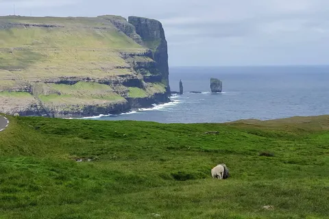 Faeröer Eilanden en IJsland foto 16