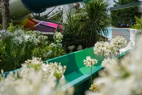 Camping Le Tropicana foto 9