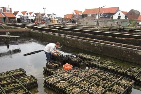 Villapark de Oesterbaai foto 15