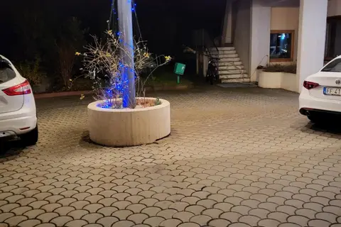 Hotel Miage in Charvensod, foto 8
