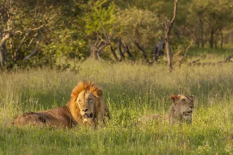 Pragtig Suid-Afrika foto 2