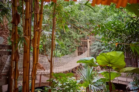 Center Parcs Het Heijderbos in Heijen — foto 21
