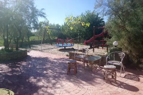 Zest @ XI Beach in Δημοτική Ενότητα Παλικής — foto 5