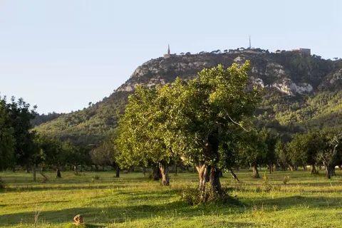 Sant Salvador Hostatgeria in Felanitx — foto 23
