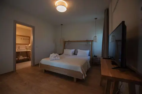 Elies 33 Bio Retreat in Δημοτική Ενότητα Κασσάνδρας — foto 6