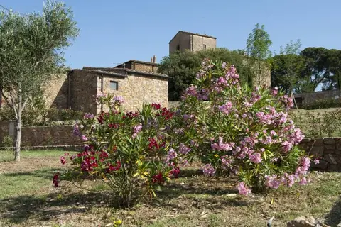 Antico Borgo Casalappi in Campiglia Marittima — foto 24